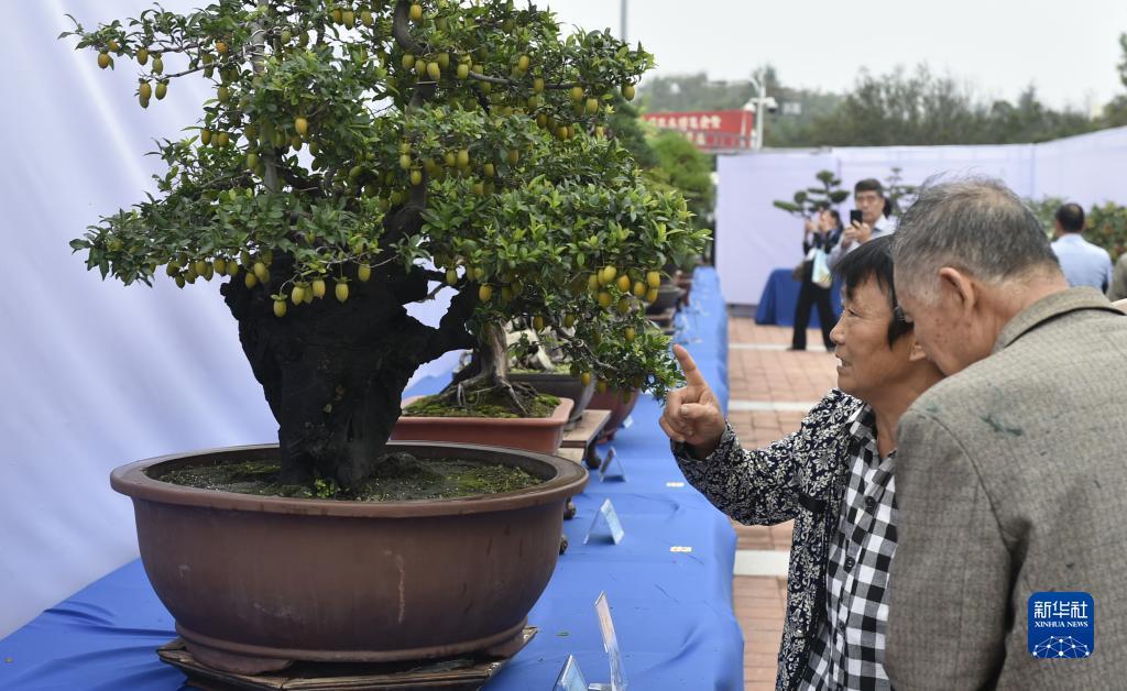 星力九代注册送100新开